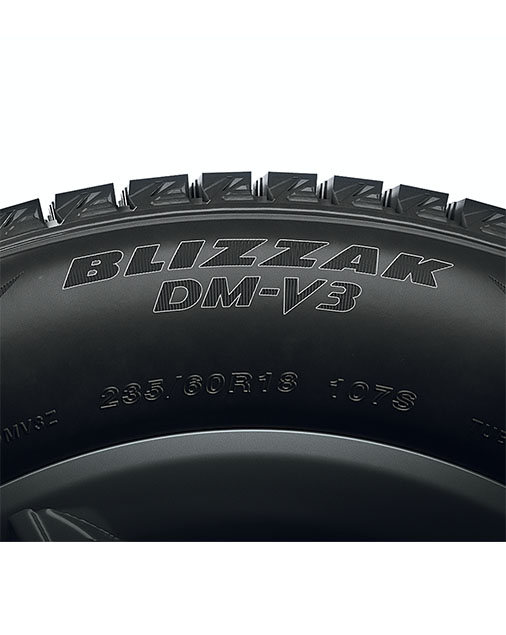 Шины Bridgestone Blizzak DM-V3 225/60 R18 100S купить в интернет