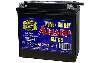 АКБ TYUMEN BATTERY Лидер (6МTC-9) 12V 6ст-9 (о.п.) 45А 140*77*135 болт сухозаряж. (без электролита)