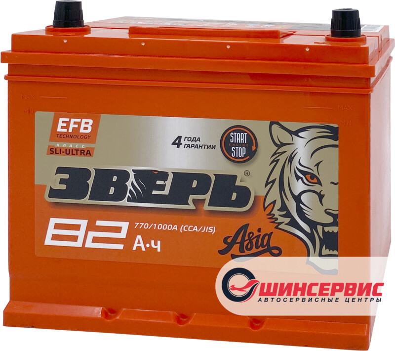 ЗВЕРЬ Asia EFB