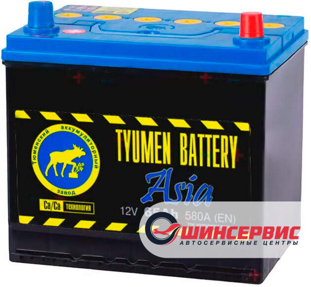 TYUMEN BATTERY Asia