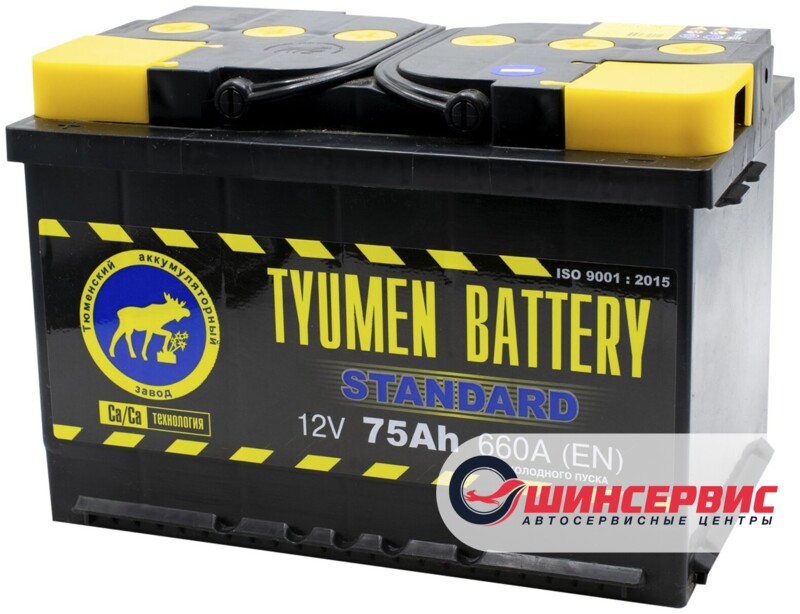 TYUMEN BATTERY STANDARD